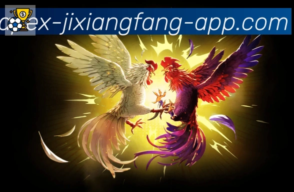 对战数据统计