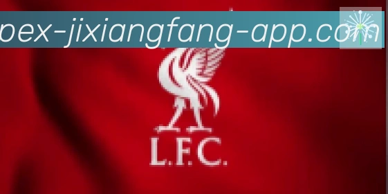 jxf吉祥坊合作伙伴